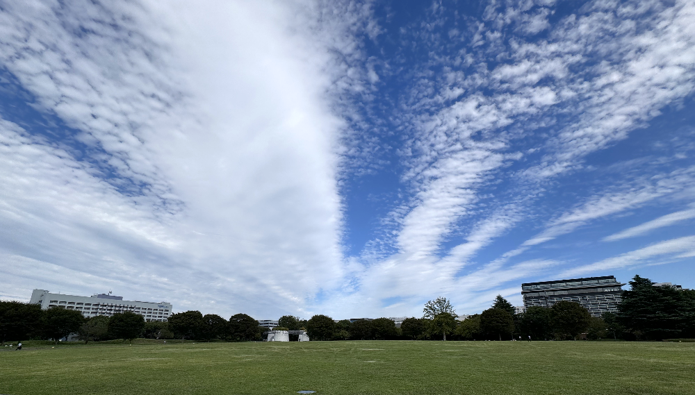 秋の雲の「昭和記念公園」