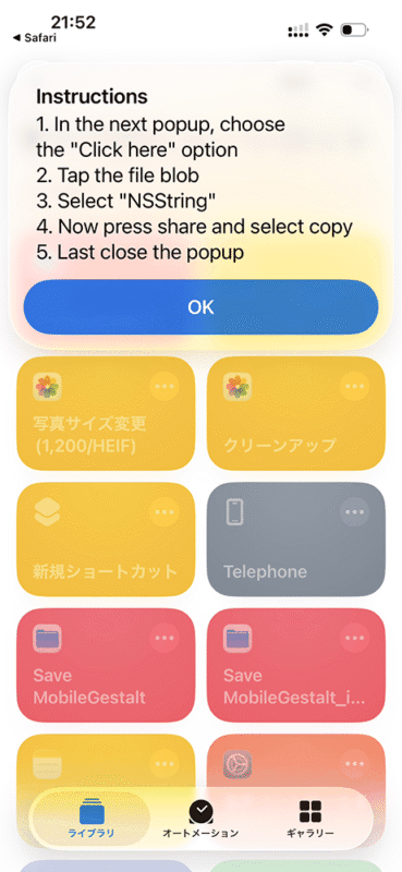 実行手順が表示されるので「OK」を選択